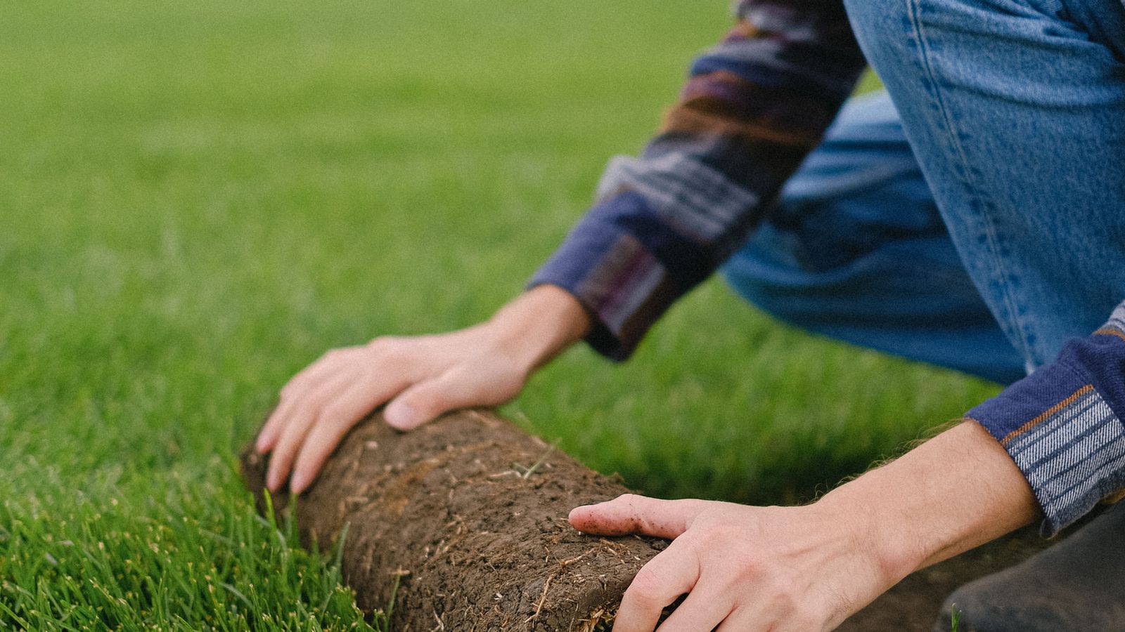 Rullgräs pris – vad kostar gräsmatta på rulle per m²?