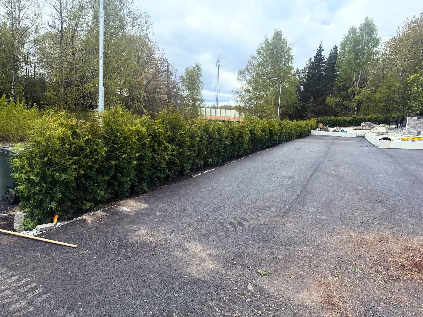Thuja Brabant | 180-200cm