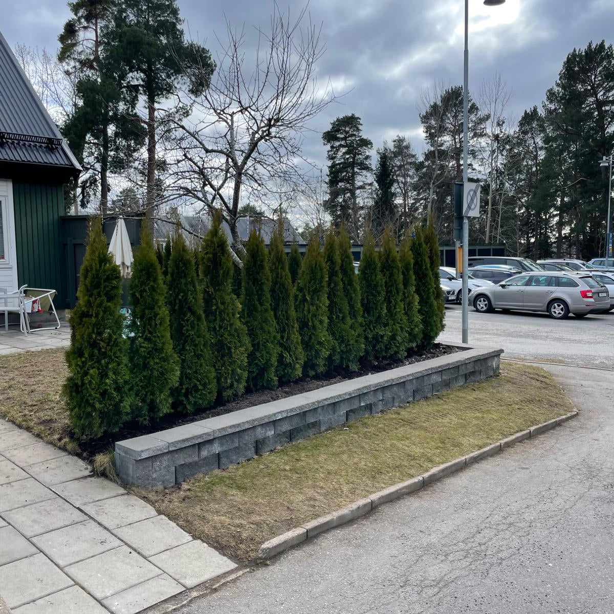 Thuja Smaragd | 180-200cm