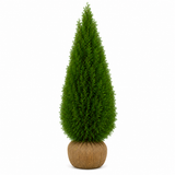 Thuja Smaragd | 160-180cm